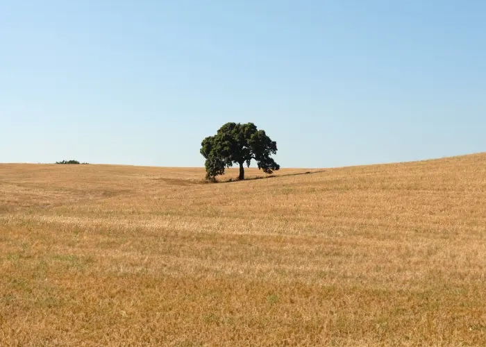 Contraintes environnementales et écologiques des terrains au Portugal