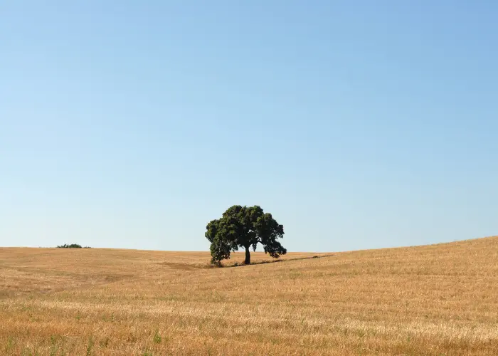 Contraintes environnementales et écologiques des terrains au Portugal
